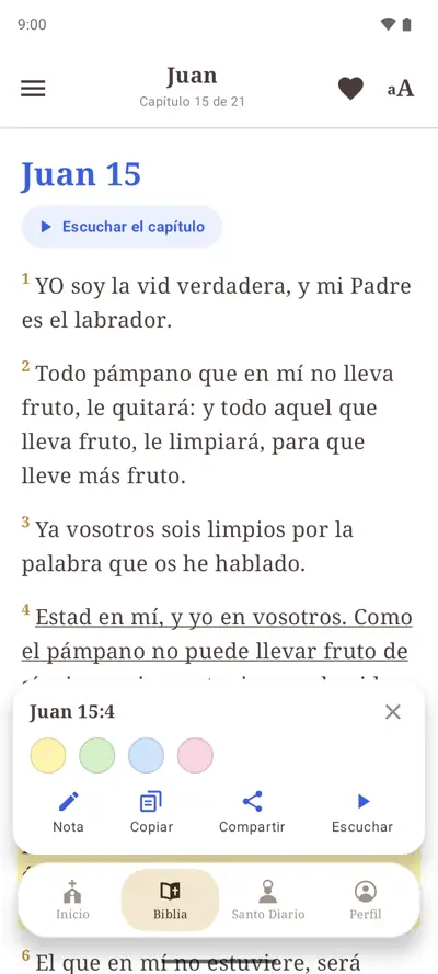 Rosario guiado, novenas y la Biblia